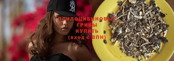 амф Абинск