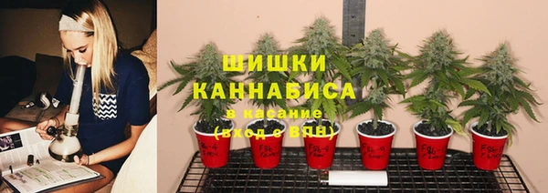 дживик Навашино