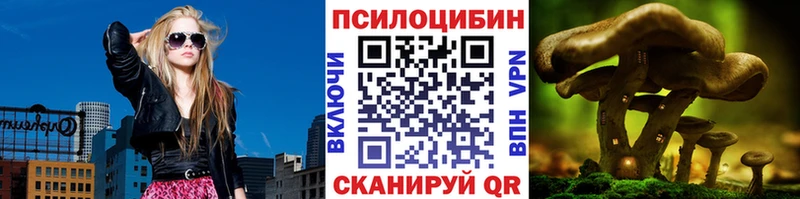 Галлюциногенные грибы Magic Shrooms  Шимановск 